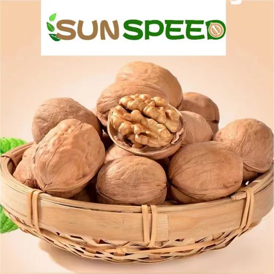 Nuts and Seeds Chinese Walnut Price Hot Sale Raw Inshell Walnutt 185 Xin2 Xinfeng 33 Dried Shelledbulk Walnut