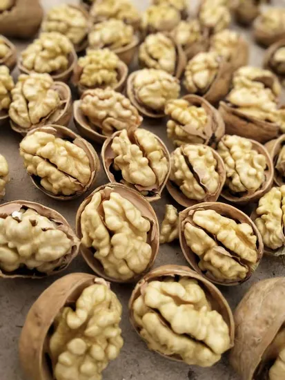 Chinese Top Grade Walnuts in Shell