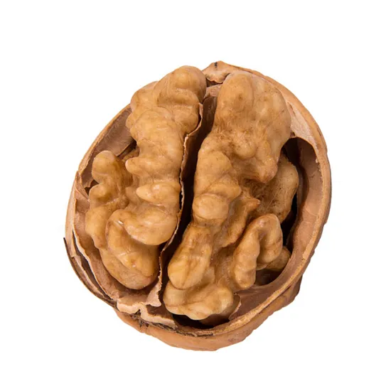 Walnut Thin Skin Walnut Kernels Hot Selling