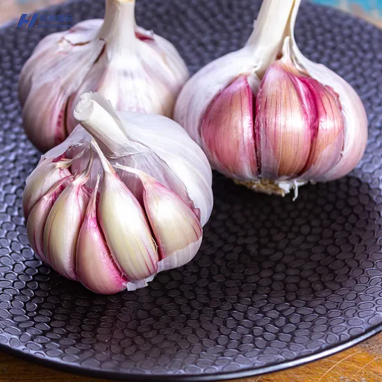 Fresh Certified Beast Quality Garlic Used as a Seasoning for Dishes Normal White Garlic