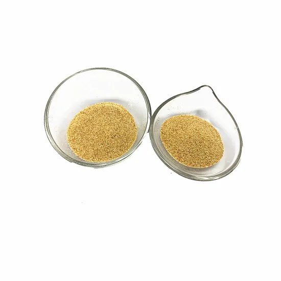Food Ingredients Toasted Garlic Granulated Roasted Garlic Powder