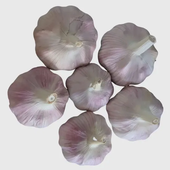 China Net Garlic Supplier, Mesh Bag Small Packaging, 3p / 4p / 5p / 6p / 450g / 500g / 800g / 900g / 1kg