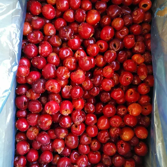 IQF Frozen Cherries: Lock in Freshness, and More!