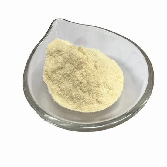 Spray Drying Pineapple Powder Pineapple Slices