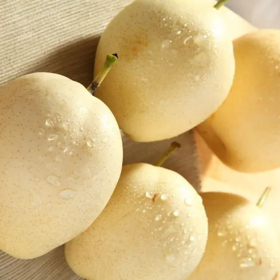 Fresh Pear New Crop