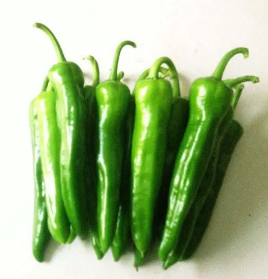 High Quality Red Fresh Chilli From Chinese Competitive Price