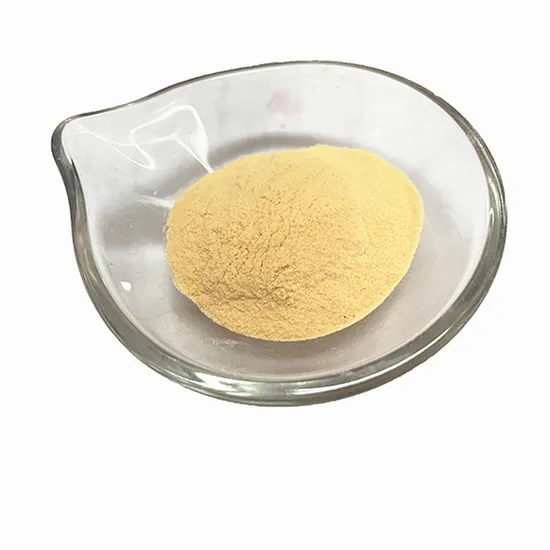 Spray Drying Papaya Powder Papaya Cubes