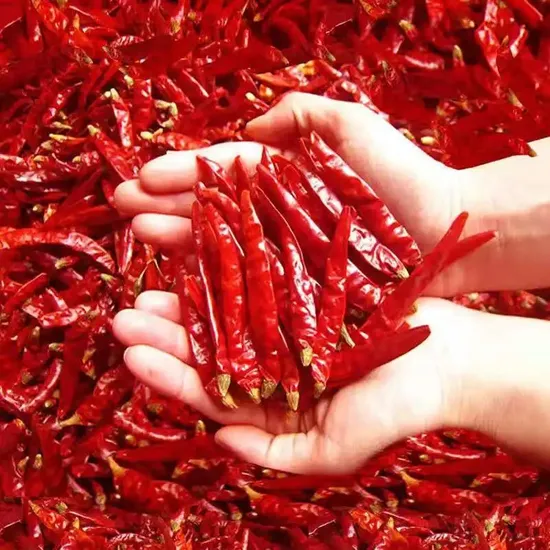 Dry Vegetable Red Bell Pepper Seeds Sweet Paprika Seeds Chilli Seeds Dehydrated