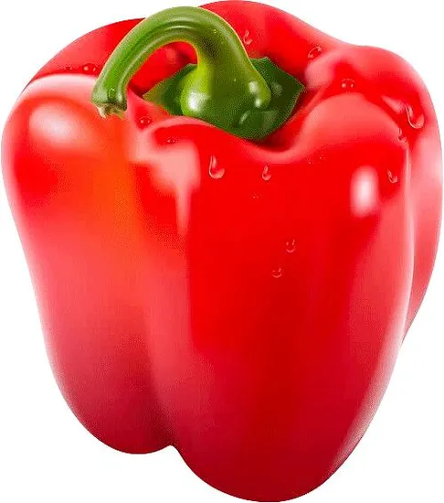 Fresh Red Bell Pepper with Best Price From China