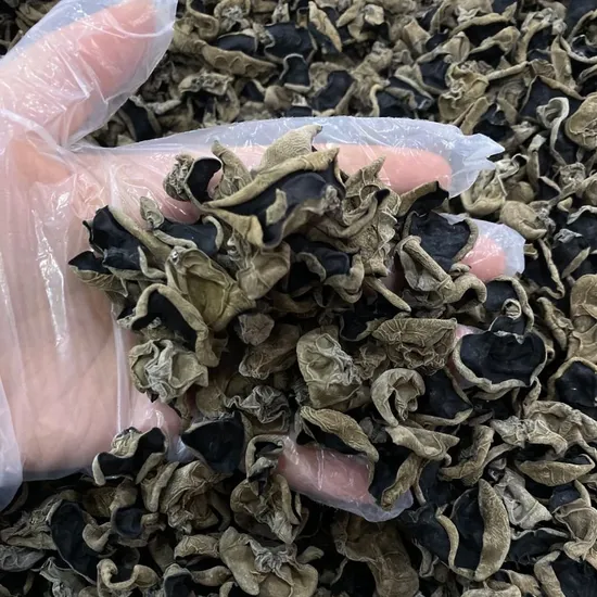 Fujitang - Premium Black Fungus Edible Guangdong Mushroom for Qi and Blood Support
