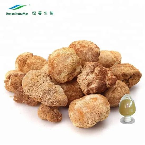 Natural Lion′ S Mane Mushroom Extract in Bulk with Free Sample