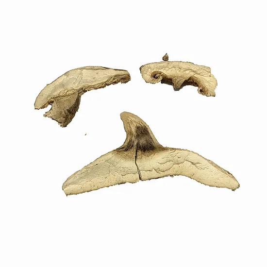 Dried Shiitake Mushroom Flakes Mushroom Shredded