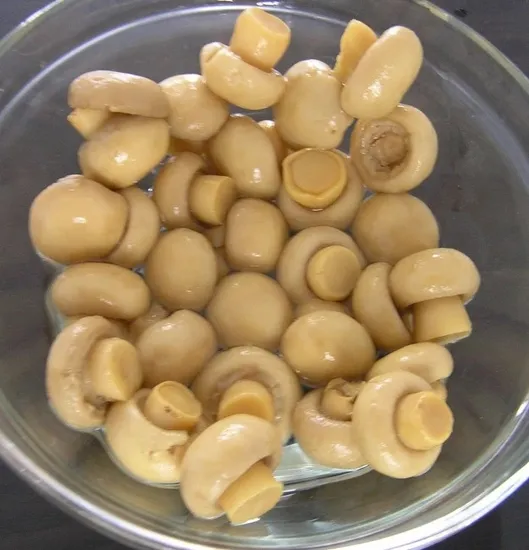 China Canned Champignon Whole Button Canned Mushroom