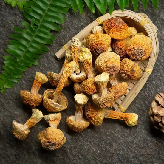 Ji Song Rong Natural Herbal Food Dried Agaricus Blazei Murrill