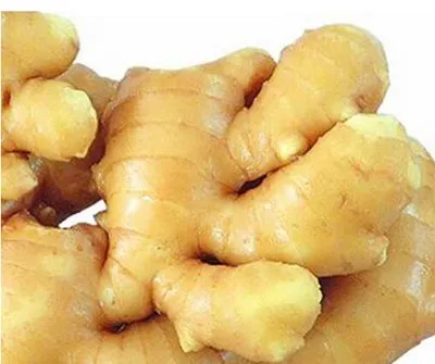 China Origin High Quality Fresh Ginger