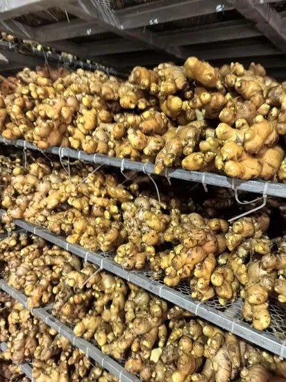 Clean Washed Ginger Root 100g 150g 250g 300g up Fresh Ginger with 3kg PVC Carton China Shandong Factory Prices