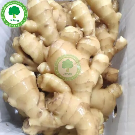 Ginger Crop China Shangdong Younger Ginger Fresh Ginger Wholesale