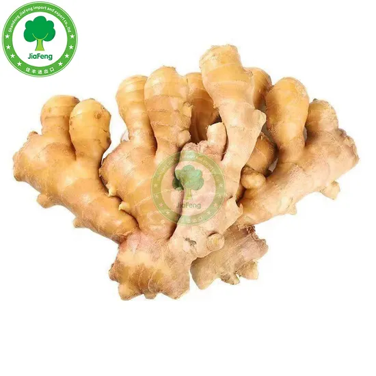 Good Quality Bulk Fresh Ginger Market Price Per Ton Wholesale Gingerbuyers for Buy Ginger Export From China