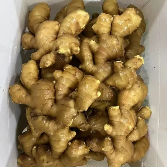 New Crop Chinese Shandong Fresh Yellow Air Dried Dry Garlic Ginger
