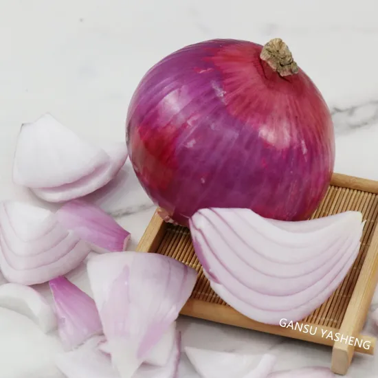 Premium Grade Fresh Red/White Onion for Sale