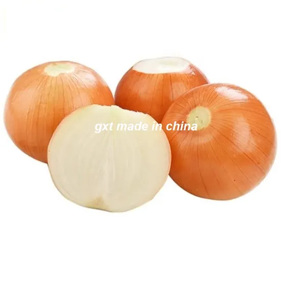 Fresh Yellow Onion Natural Cheap High Quality