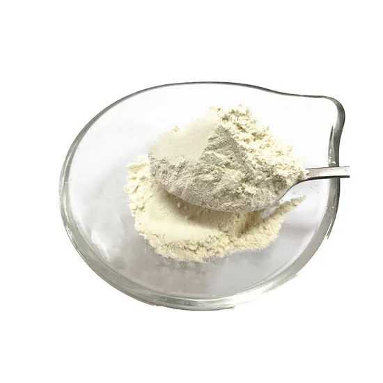 Snack Food Ingredients Roasted Onion Powder