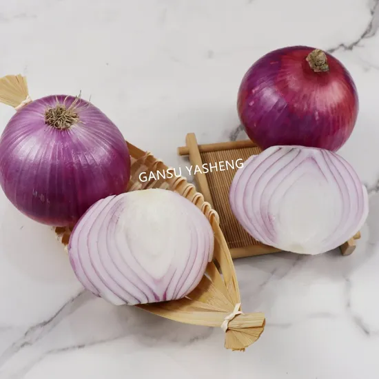 Top Quality Red Onion Factory Direct Supply Fresh Onion Low Price Export