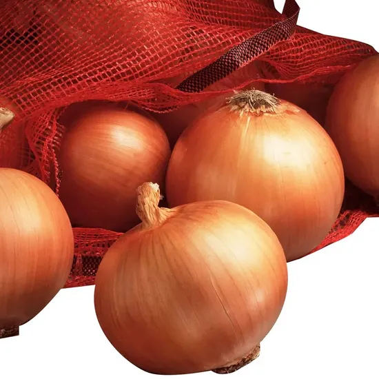 Gap Farm Fresh Vegetable Hot Selling Red Yellow Onion Wholesale Fresh Onion From Factory Supplier