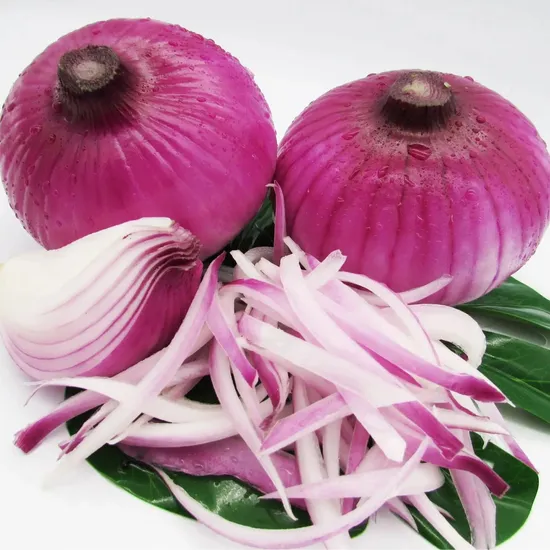Wholesale Price Organic New Crop Onions Red Fresh Onions for Sale