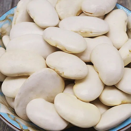 Dark White Kidney Beans Long Shape Kidney Beans