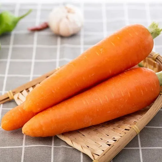Export Wholesale Price Organic Vegetable IQF Frozen Carrots Fresh Carrot
