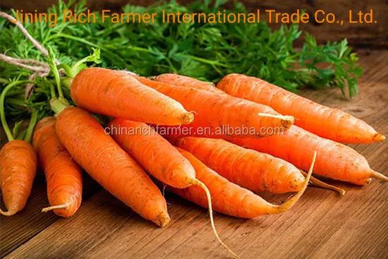Best Price Carrot for Chinese Natural Fresh Carrot