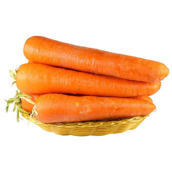 Fresh Sweet Carrot with Good Price Fresh Carrot Ready for Sale