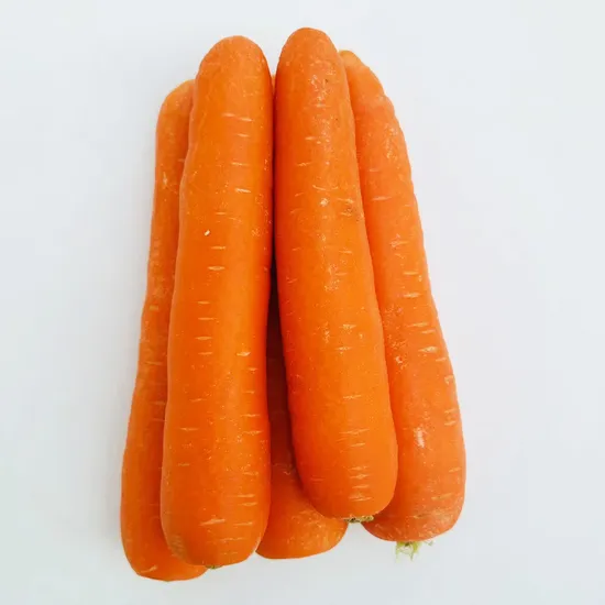 2024 China Fresh Carrot