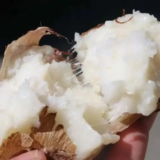 Chinese A Grade Quality Fresh Taro on Sale