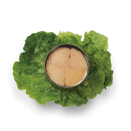 High-Quality 140g Canned Skipjack Tuna Solid in Brine OEM