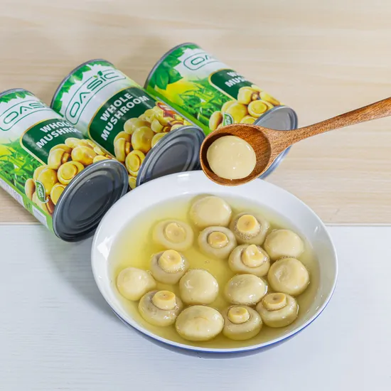 Best Selling New Season Canned Mushroom Food Tasty Freshness