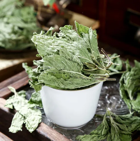 Herbal Medicine Bo He for Natural Health and Wellness Solutions