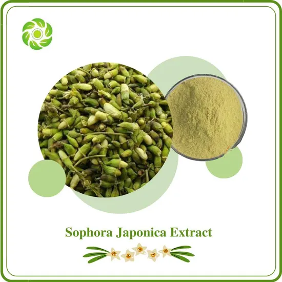 Hunan World Well-Being High Quality Rutin NF11, Sophora Japonica Extract