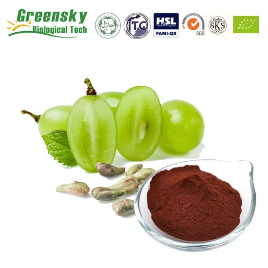 Grape Seed Extract 95% OPC (100% Natural) Plant Herbal Extract Powder Vitis Vinifera Food Additive Antioxidant Proanthocyanidins