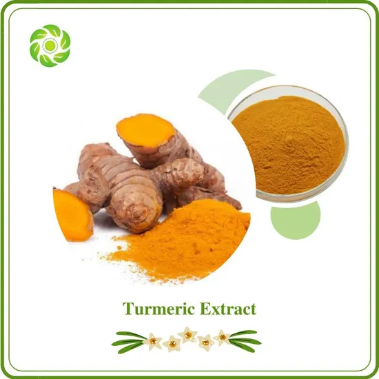 World Well-Being Wholesale High Quality Turmeric Extract