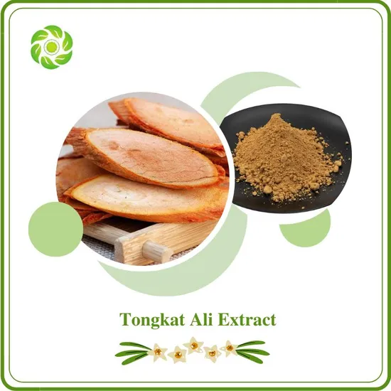 Hunan World Well-Being High Quality 1%-10% Eurycomanone / Black Gojiberry/ Epimedium Extract/ Maca Extract/Eurycomanone Powder, Tongkat Ali Extract
