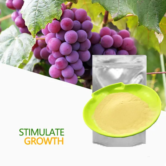 agricultural fertilizer factory amino acid powder water soluble fertilizer for sale
