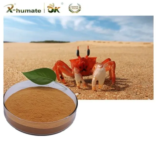 98% Concentration Biostimulation Chitosan Oligosaccharride