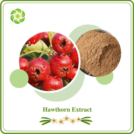 World Well-Being Biotech Natural Hawthorn Extract with 10%-80% Flavonoids for Supplement