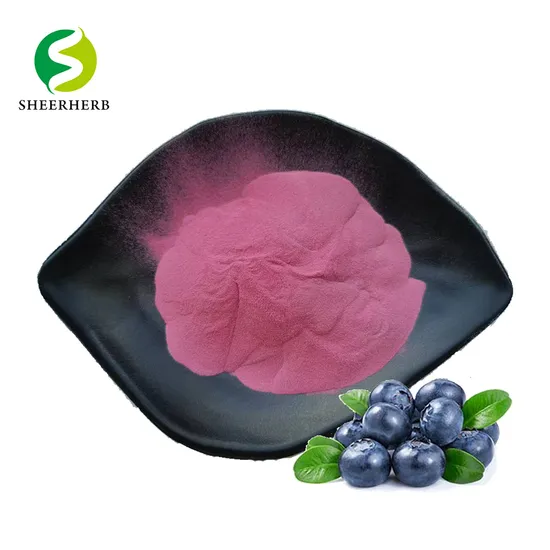 Hight Quality Blueberry Extract Blueberry Flavor Freeze Dried Blueberry Powder