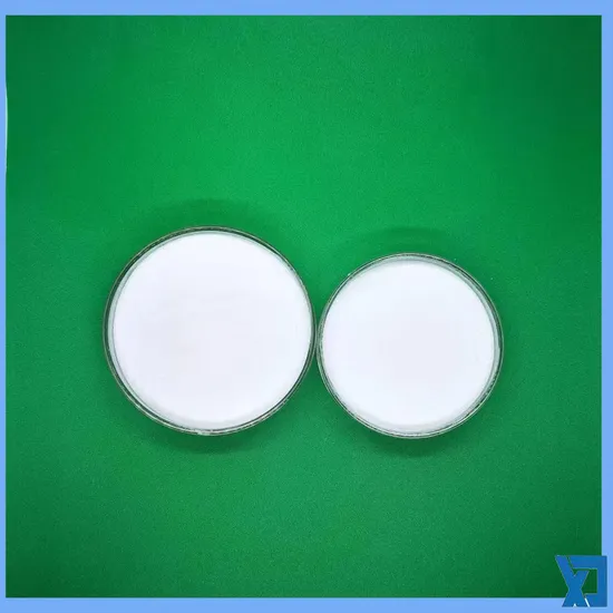 High Quality Apple Extract Acv Powder Apple Cider Vinegar