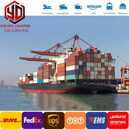 Sea Freight Agency Forwarder Service LCL/FCL China to Singapore Shipping