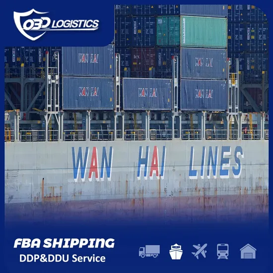 Amazon Fba Logistics Company Freight Forwarder Door to Door Service Sea Shipping From China to USA