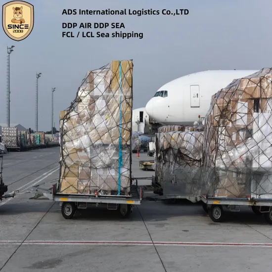 DDP Top 1 Logistics USA Amazon Fba Logistic Dropshipping Deliver From China to USA UK Kuwait Canada Ksa